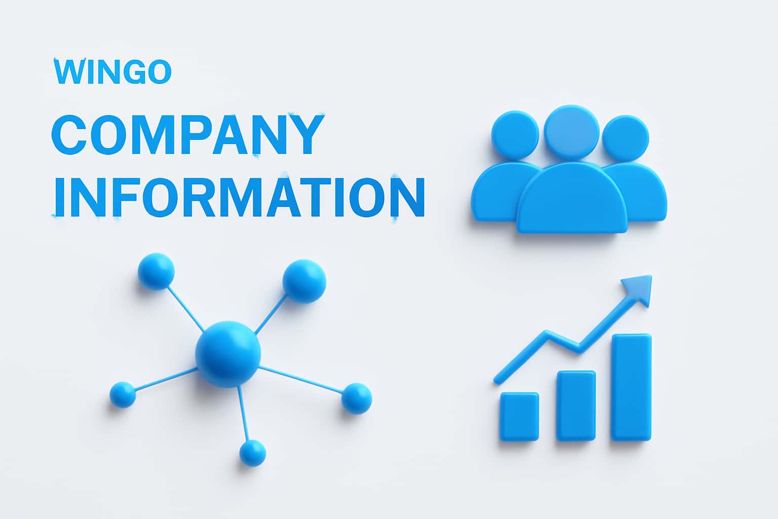 Wingo Company Information Interface